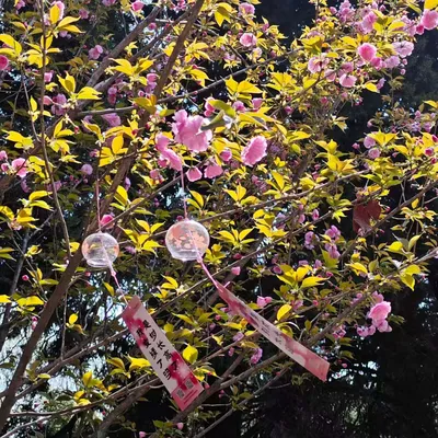足迹相册照片